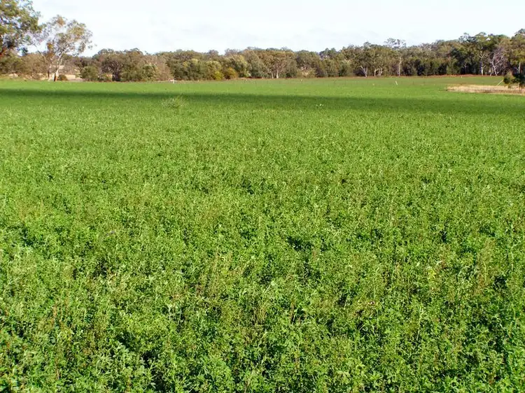 Third view of Homely rural property listing, 122 Roseneath Lane, Inverell NSW 2360