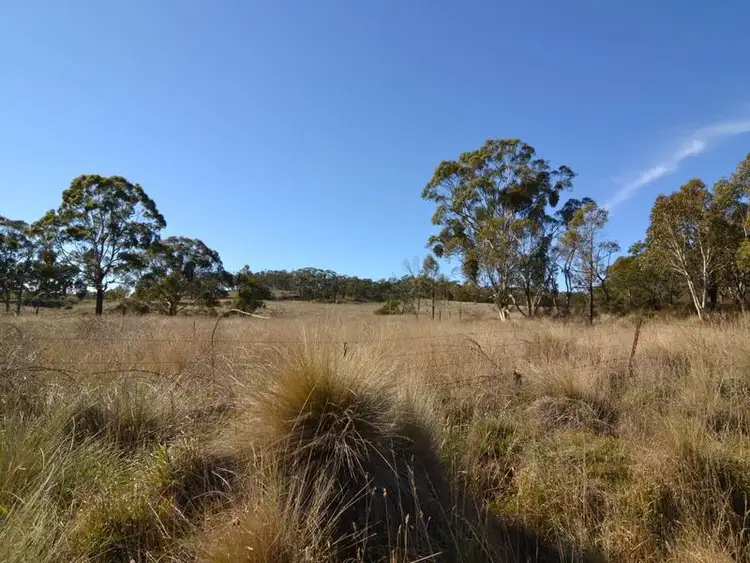 Fourth view of Homely rural property listing, Lot 1 Great Western Highway, Meadow Flat NSW 2795