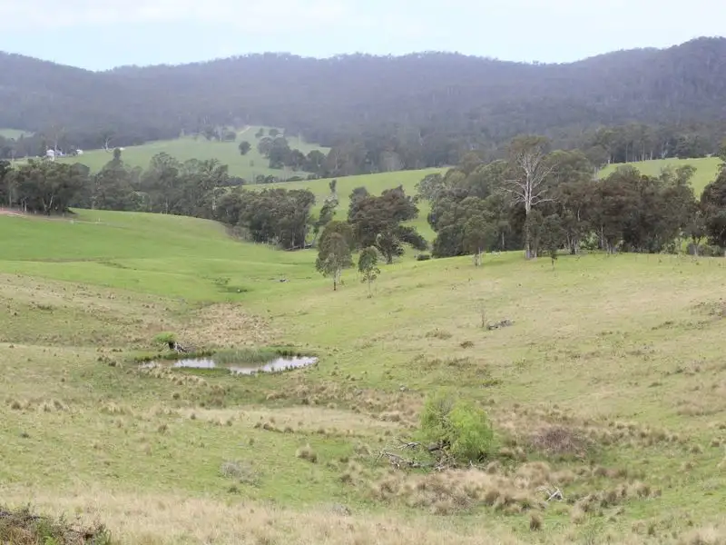 Main view of Homely land listing, 11121 Princes Highway, Cobargo NSW 2550