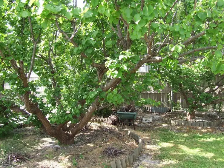 Third view of Homely house listing, 168 St Helens Point Road, Stieglitz TAS 7216