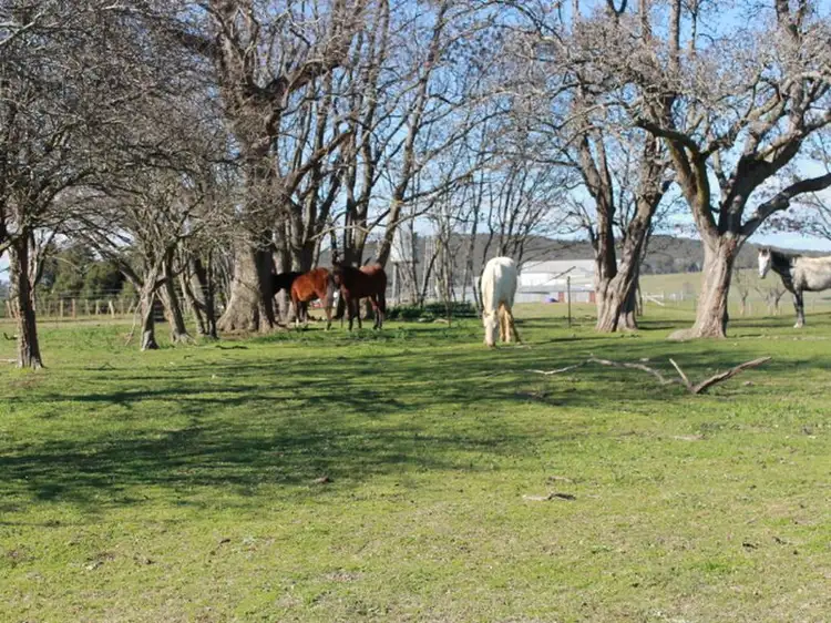 Sixth view of Homely rural property listing, 916 Emmaville Rd, Glen Innes NSW 2370