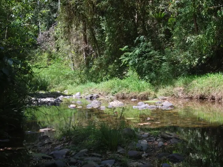 Main view of Homely rural property listing, 3660 Kalang Road, Kalang NSW 2454
