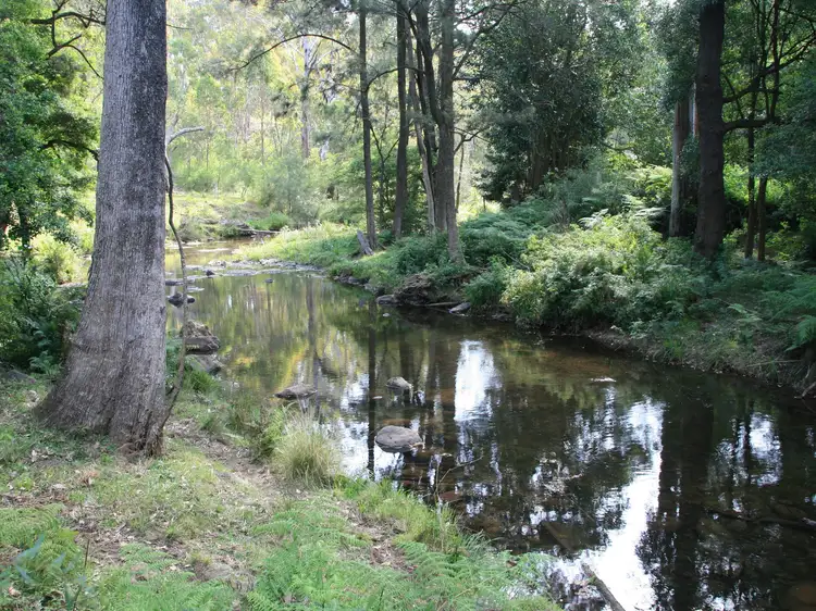 Lot 53 Bakers Road,, Clintonvale QLD 4370
