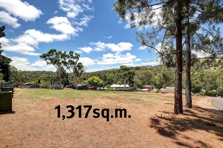 65 Light Road, Coromandel Valley SA 5051