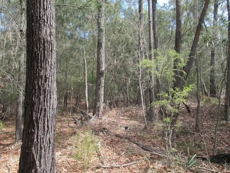 Lot 16 Percy Davis Drive, Moruya NSW 2537