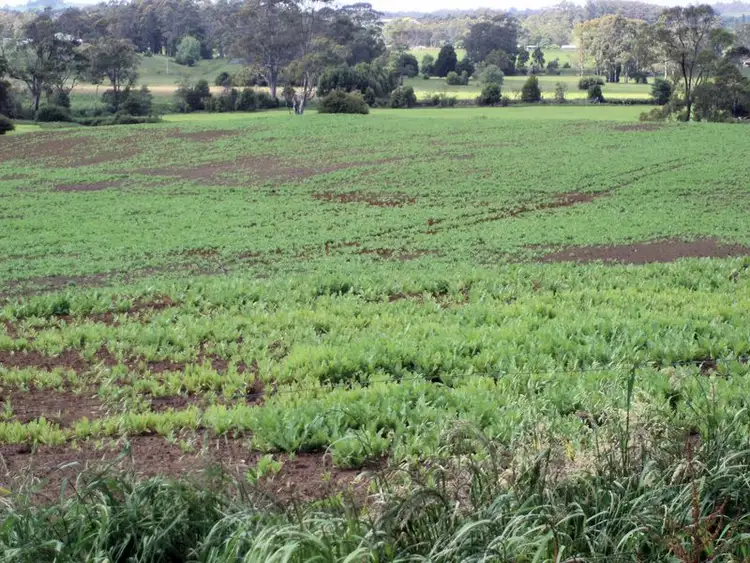 Third view of Homely rural property listing, 75 Preolenna Road, Flowerdale TAS 7325
