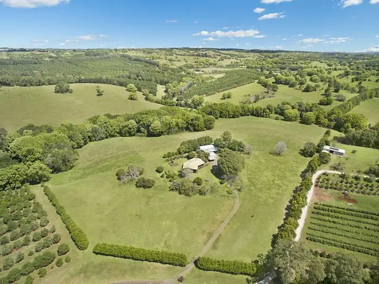Second view of Homely rural property listing, 41 Gibsons Road, Alstonville NSW 2477