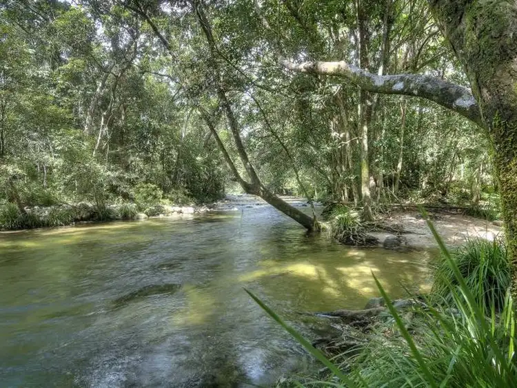 Seventh view of Homely land listing, Lot 2 Finlayvale Road, Mossman QLD 4873