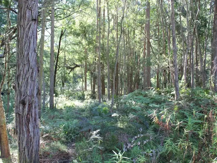 Fourth view of Homely land listing, Lots 15 & Eagles Nest Road, Brogo NSW 2550