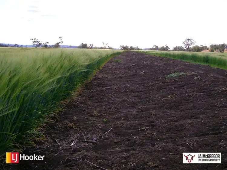 Second view of Homely rural property listing, Gragin Peak Road, Warialda NSW 2402