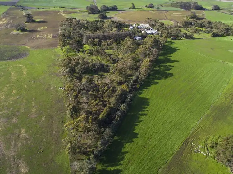 Third view of Homely rural property listing, 375 Langs James Road, Balintore VIC 3249