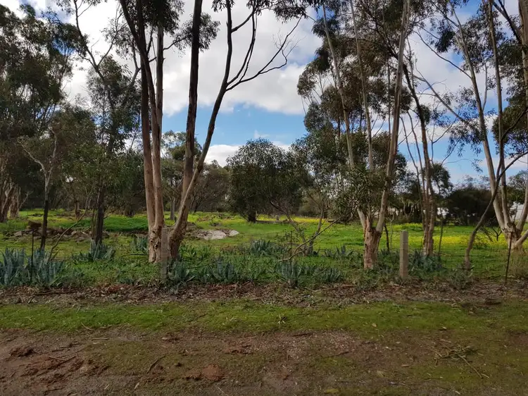 Second view of Homely rural property listing, 21 Rice Street, Dutton SA 5356