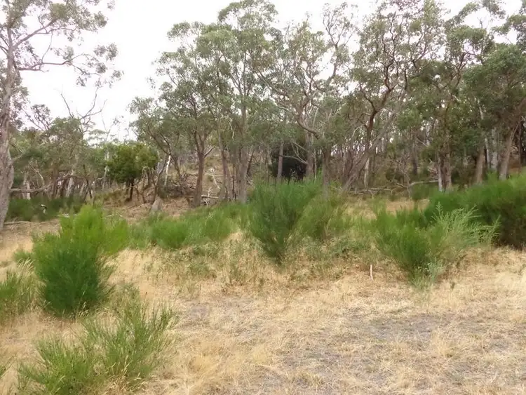 Fifth view of Homely rural property listing, Lot 4 Hack Range Road, Echunga SA 5153