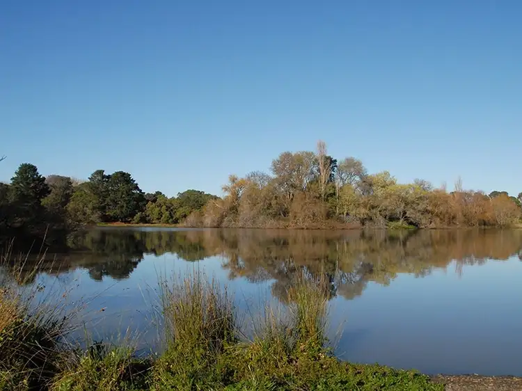 Fifth view of Homely land listing, Lot 32 Bridge Street, Drysdale VIC 3222