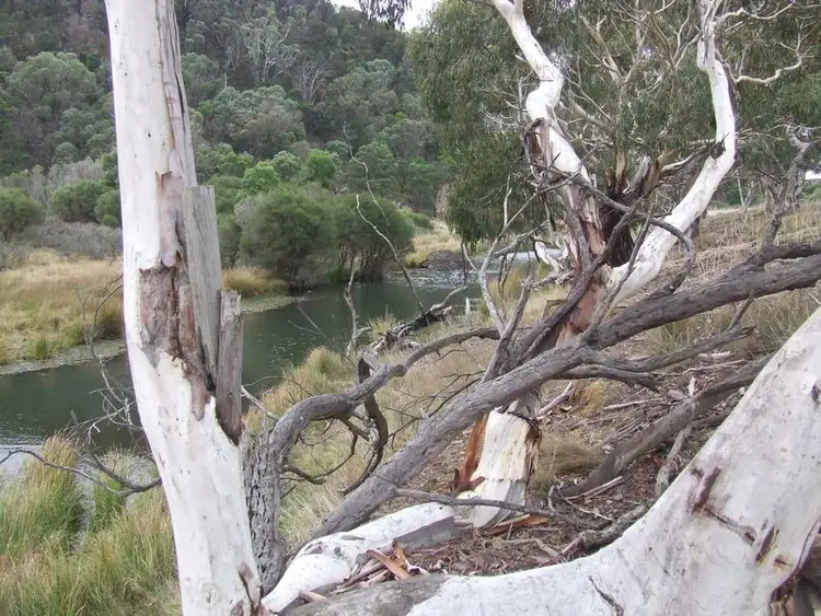 Fourth view of Homely rural property listing, 2556 Mayfield Road, Tarago NSW 2580