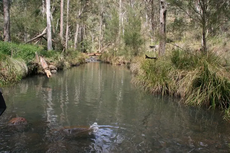 Lot 60 Bakers Road, Clintonvale QLD 4370