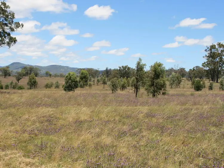 Fifth view of Homely rural property listing, Lot 11 Wildash School Road, Warwick QLD 4370
