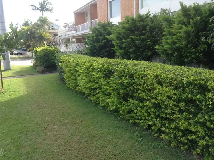 Fourth view of Homely apartment listing, 1/162 Surf Parade, Broadbeach QLD 4218