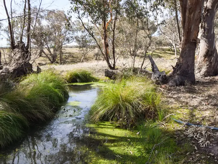 Third view of Homely rural property listing, 462 Gooloogong Road, Grenfell NSW 2810