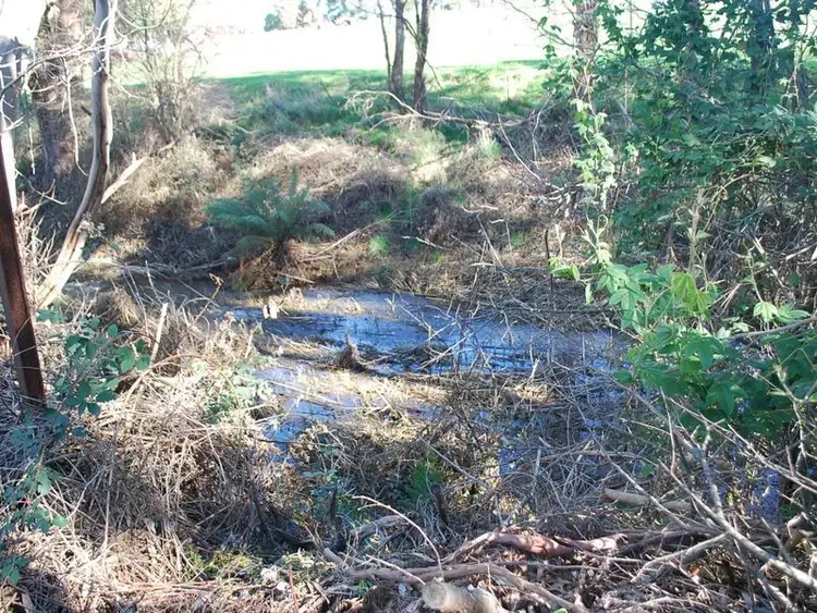 Third view of Homely rural property listing, 16717 Bass Highway, Flowerdale TAS 7325