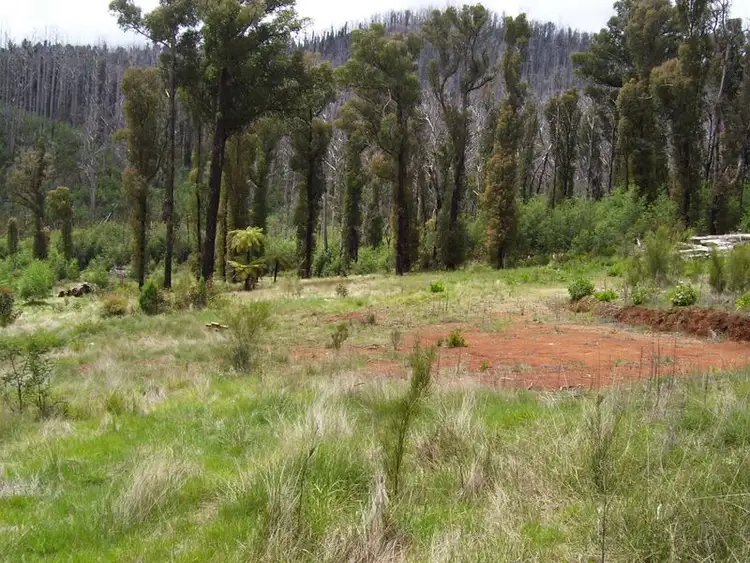 133 Falls Road, Marysville VIC 3779