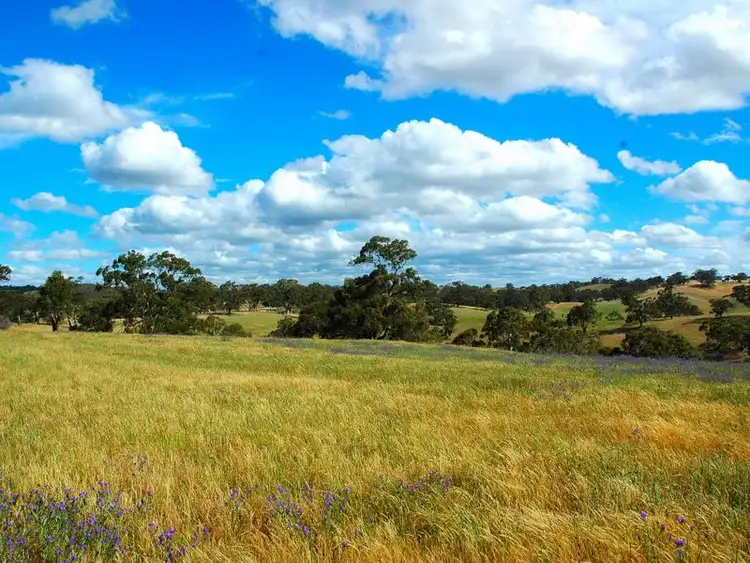 Main view of Homely land listing, Lot 713 Allendale Road, Kalbeeba SA 5118