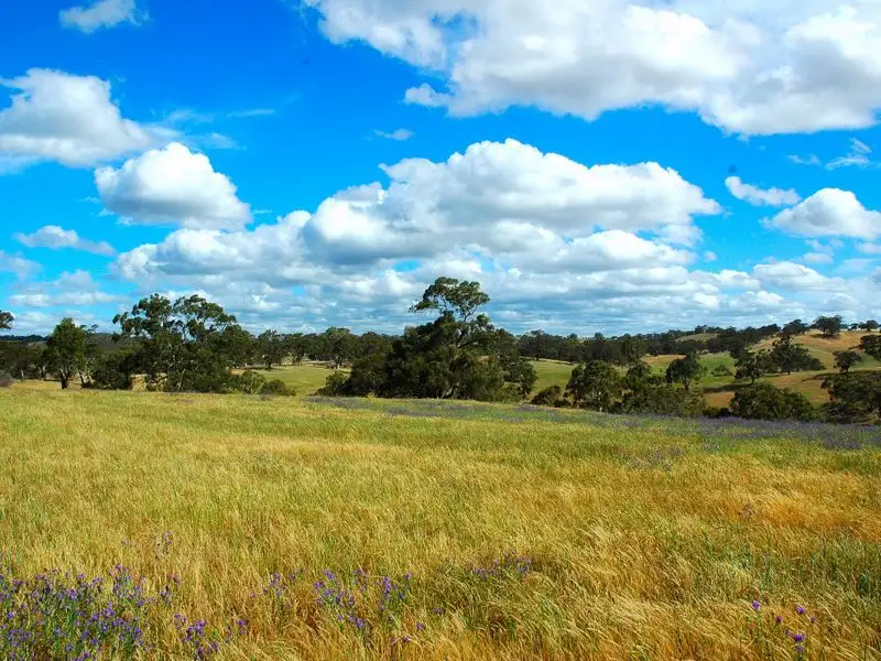 Main view of Homely land listing, Lot 713 Allendale Road, Kalbeeba SA 5118