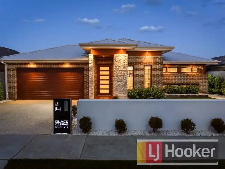 14 Black Caeser Drive, Cranbourne East VIC 3977