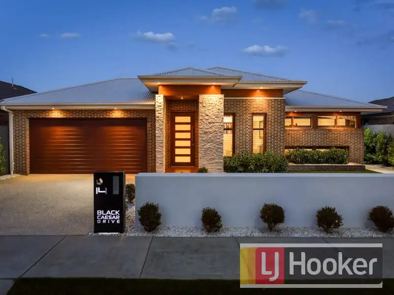 Main view of Homely house listing, 14 Black Caeser Drive, Cranbourne East VIC 3977