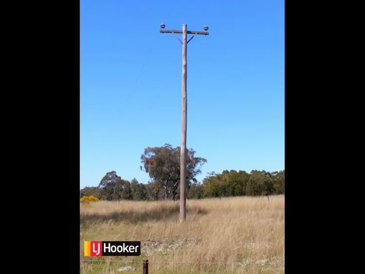 Fifth view of Homely rural property listing, 191 Halls Lane, Bukkulla NSW 2360