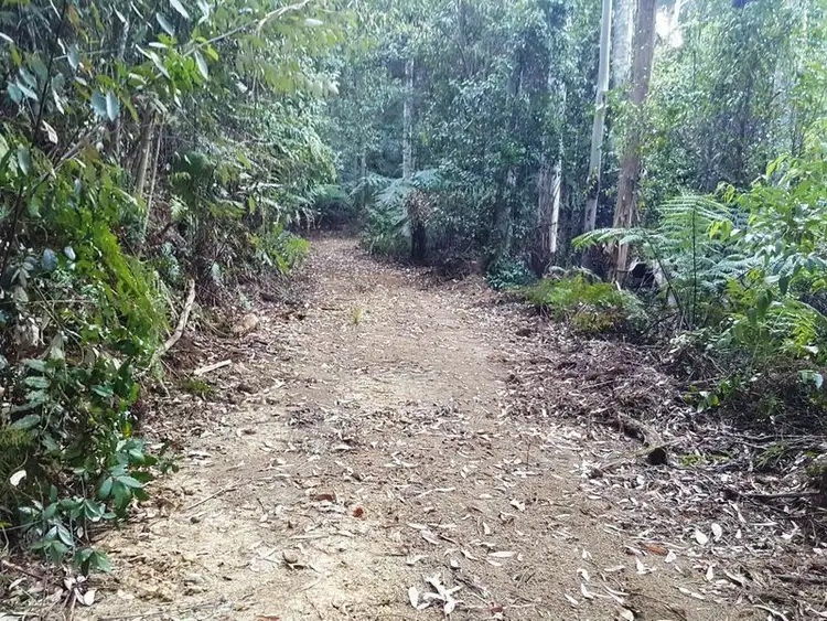 Seventh view of Homely land listing, Lot 2 Eve Creek Road, Brooklana NSW 2450