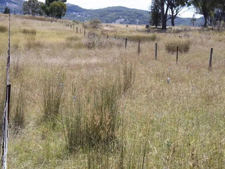 Sixth view of Homely rural property listing, 1281 Gulf Road, Emmaville NSW 2371