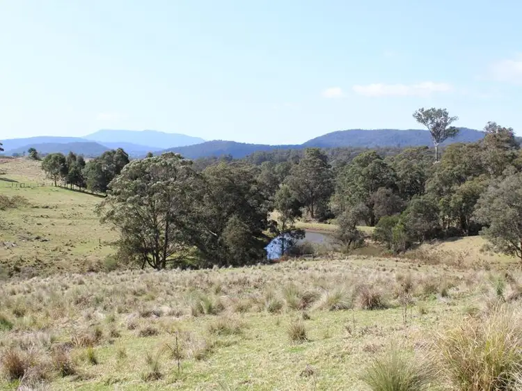 Fourth view of Homely rural property listing, 11265 Princes Highway, Cobargo NSW 2550