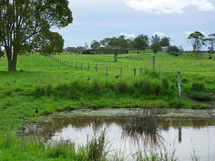 Third view of Homely house listing, 157 Oxley Island Road, Oxley Island NSW 2430