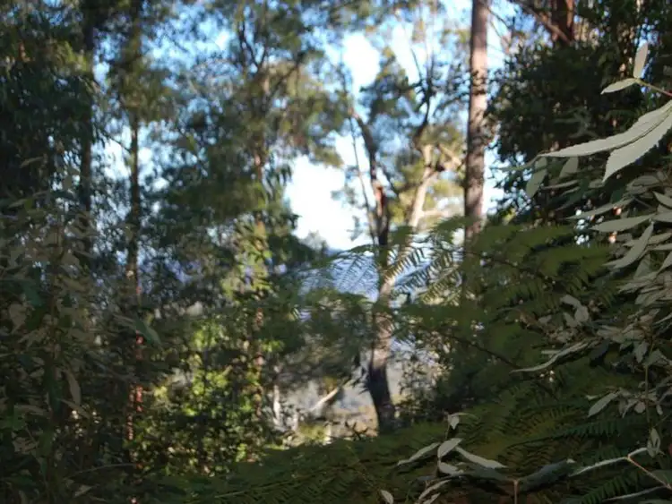 Third view of Homely rural property listing, Lot 34 & 3 Upper Buckrabenndinni, Bowraville NSW 2449