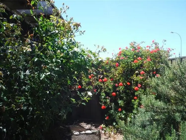 Fourth view of Homely unit listing, 1/82 Rowley Road, Aldinga Beach SA 5173
