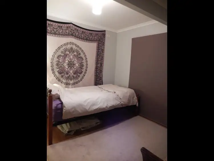 Fourth view of Homely house listing, 19 Doolooma Street, Mountain Creek QLD 4557