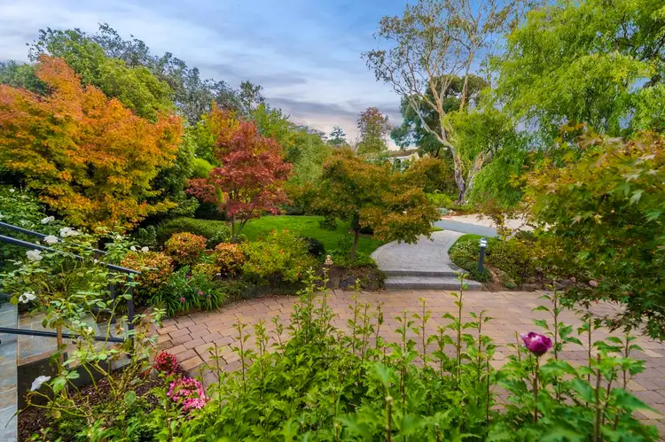 Fourth view of Homely house listing, 31 Moodie Street, Farrer ACT 2607