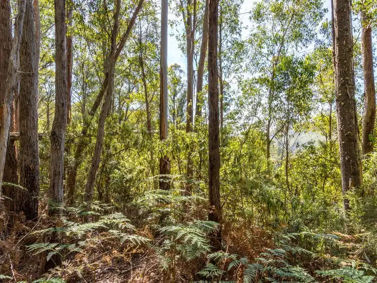 Sixth view of Homely land listing, Snug Tiers Road, Snug TAS 7054