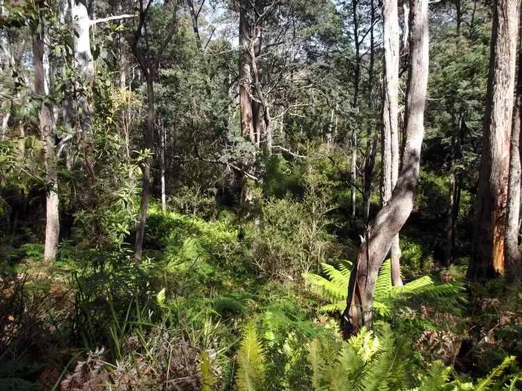 Seventh view of Homely land listing, Lot 1 Terryvale Road, Goshen TAS 7216