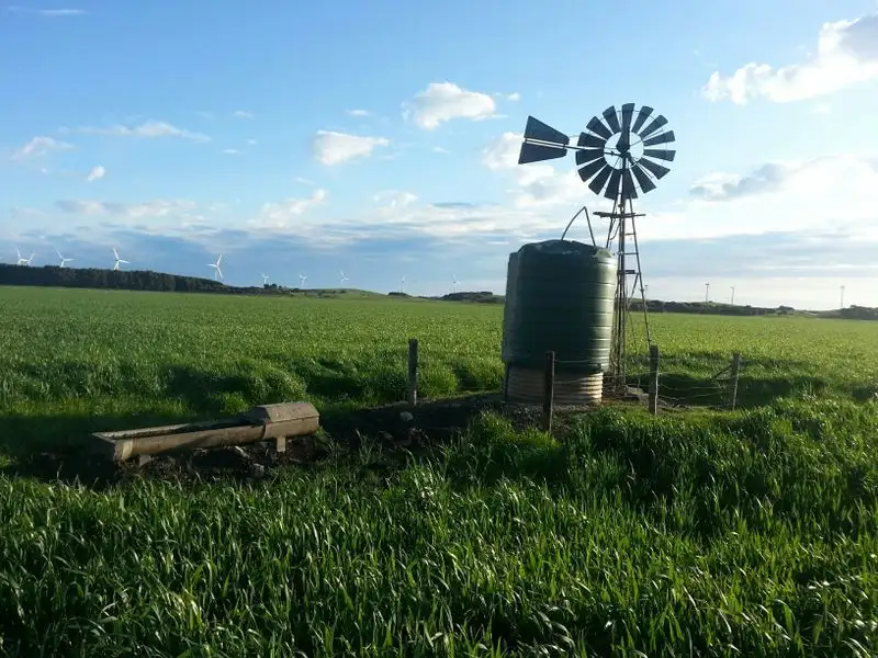 Main view of Homely rural property listing, Hookings Road, Tantanoola SA 5280