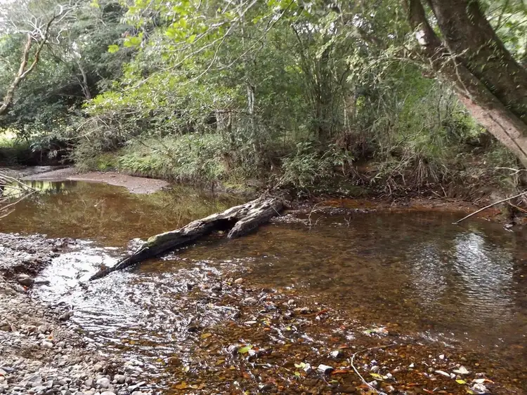 Third view of Homely rural property listing, Address available on request