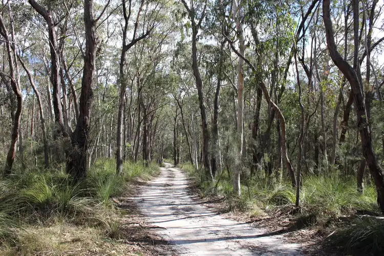 Seventh view of Homely land listing, 135 Bourkes Road, Yowrie NSW 2550