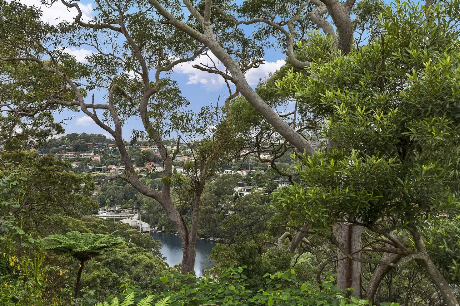 Main view of Homely land listing, 16 The Rampart, Castlecrag NSW 2068