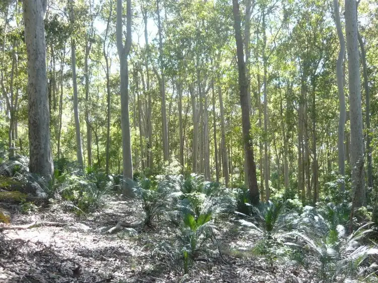 Second view of Homely land listing, 3488 Tathra Bermagui Road, Akolele NSW 2546