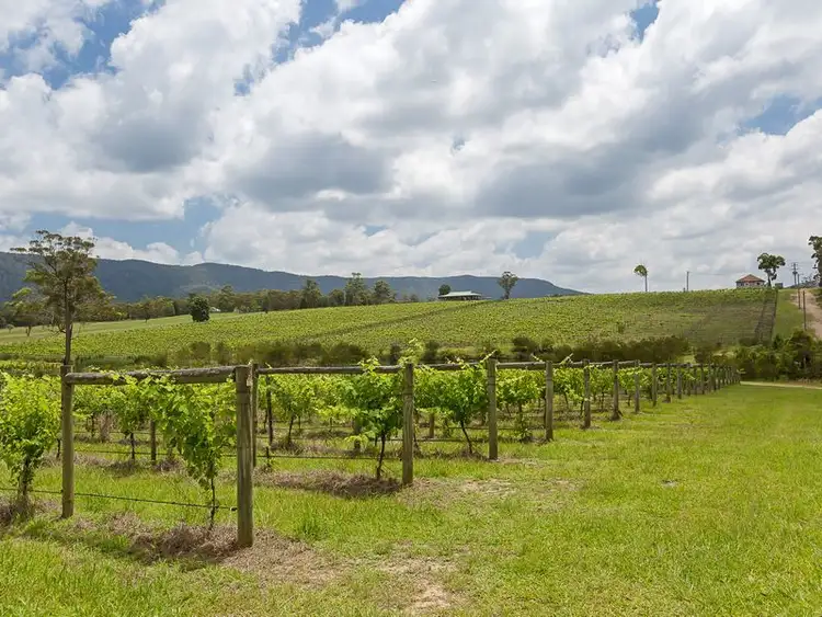 Fourth view of Homely rural property listing, 240 Mt Faulk Road, Cooranbong NSW 2265