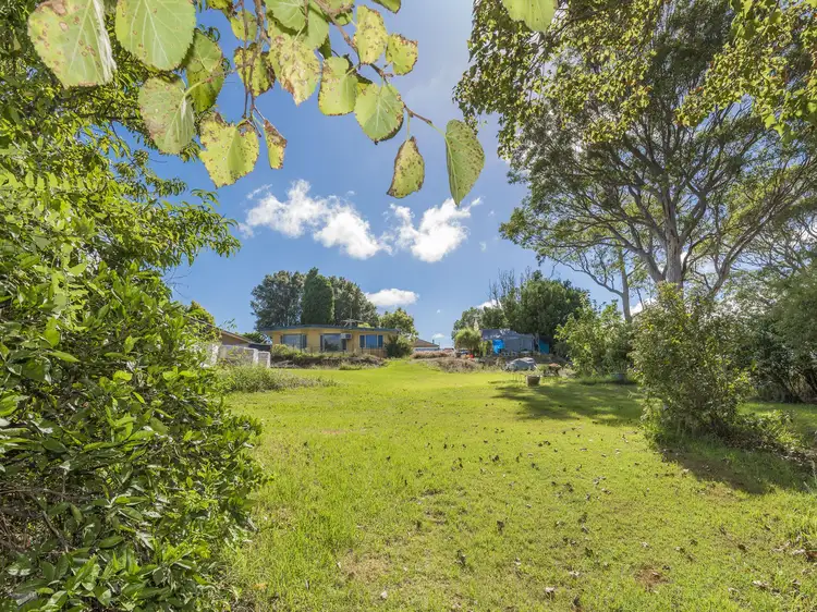 Sixth view of Homely rural property listing, 111a Marsden Street, Shortland NSW 2307