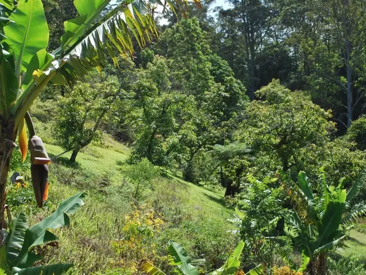 Fifth view of Homely rural property listing, 114 Bennetts Road, Coffs Harbour NSW 2450