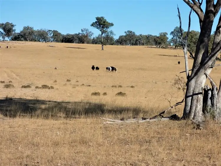 Sixth view of Homely rural property listing, Lot 3 Springdale Road, Glenlyon QLD 4380