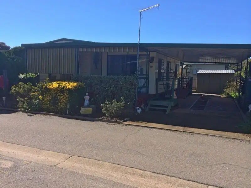 Main view of Homely house listing, 111 Park Lane, Hillier SA 5116